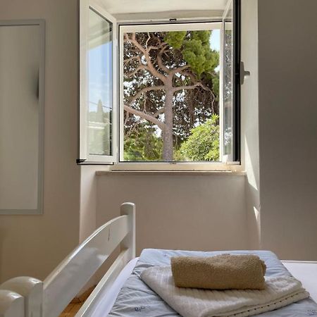 Apartmán Tree Dubrovník Exteriér fotografie