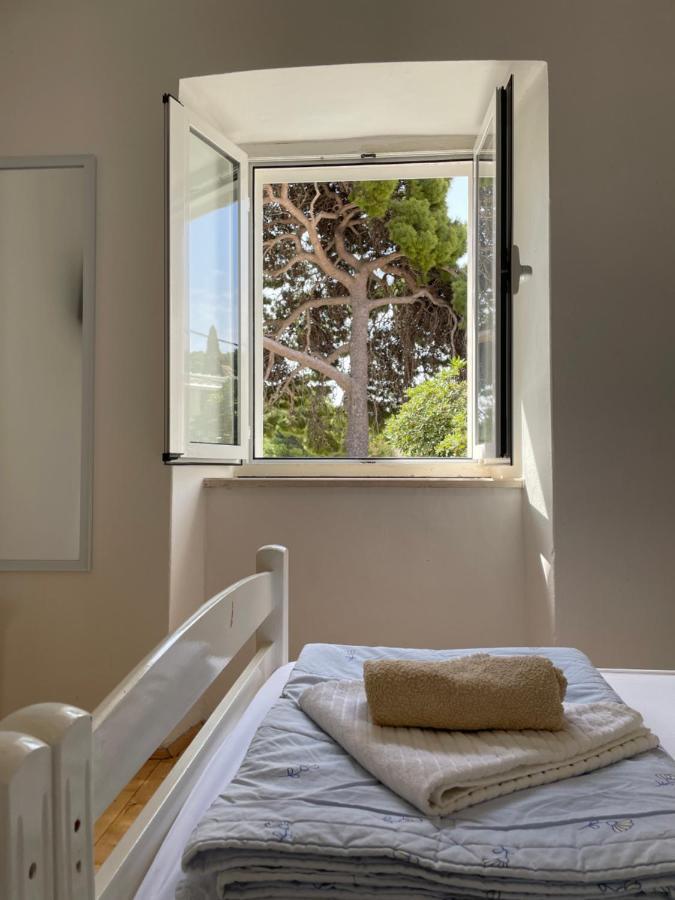 Apartmán Tree Dubrovník Exteriér fotografie